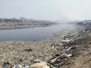 Plastic Pollution: The Earth in Crisis